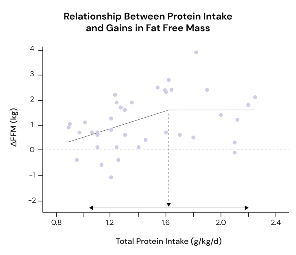 relationship between protein intake and gains in fat free mass