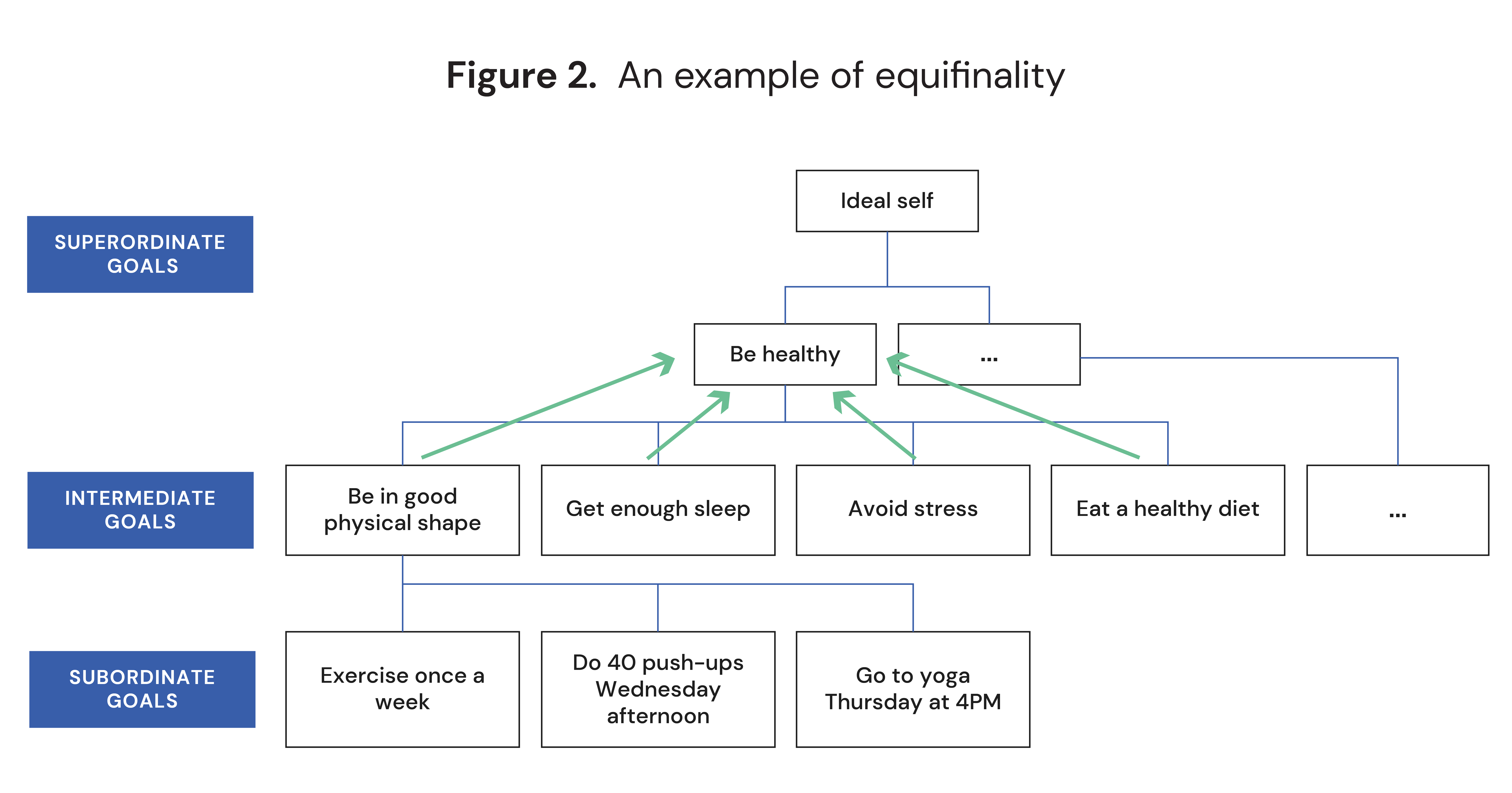 An example of equifinality in a goal hierarchy 