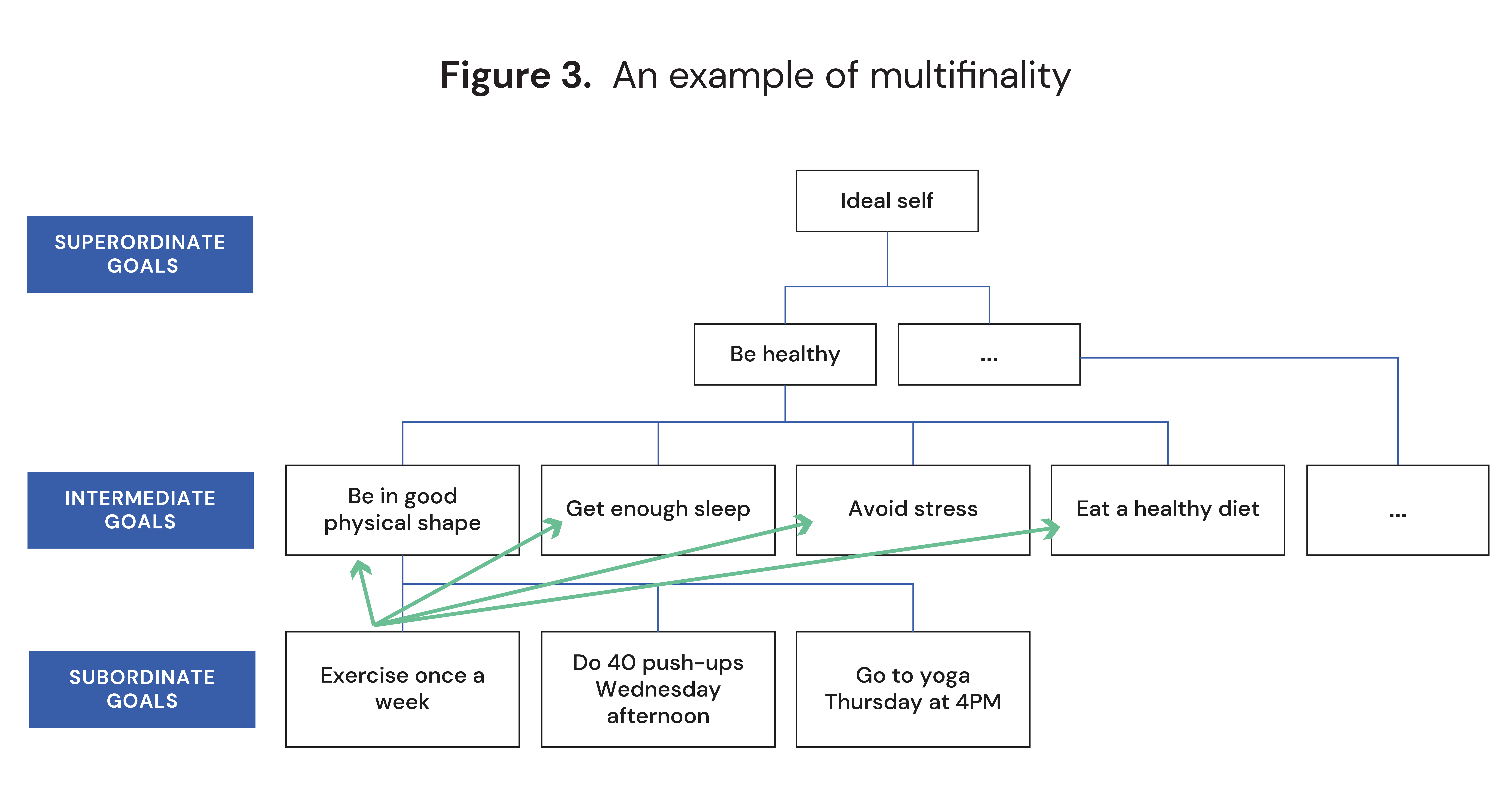 An example of multifinality in a goal hierarchy 