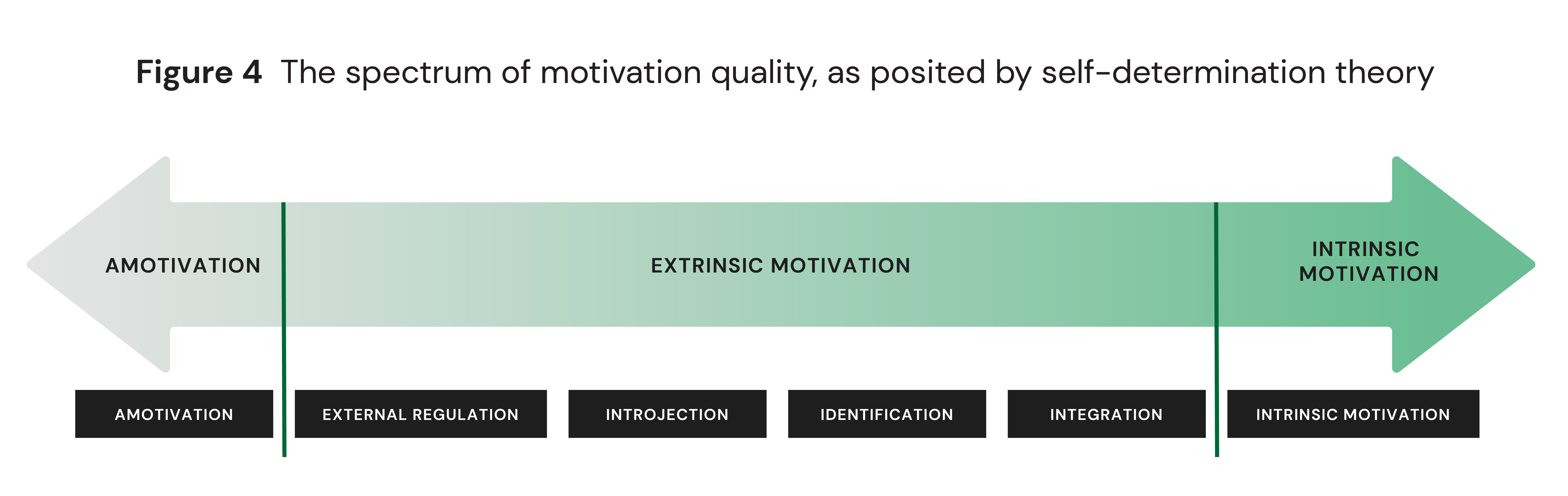 The spectrum of motivation quality, as posited by self-determination theory