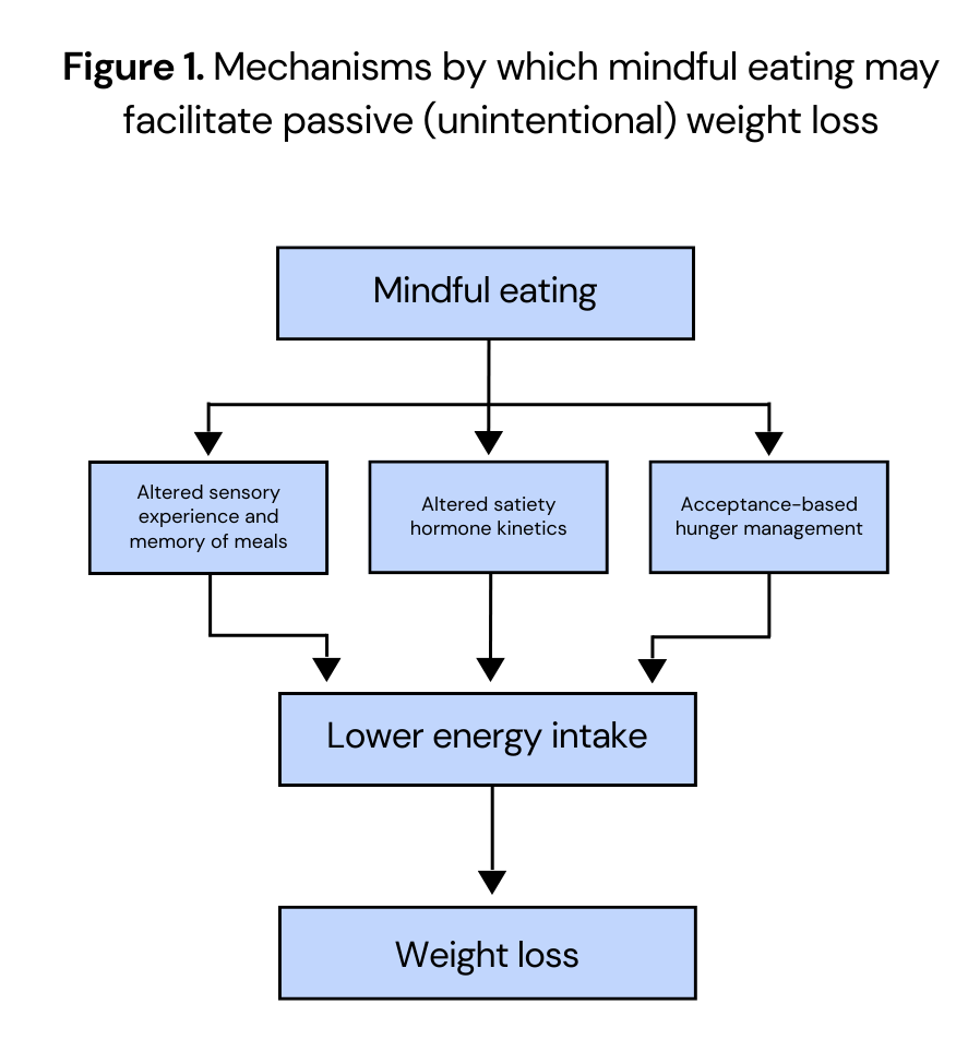 mechanisms by which mindful eating may facilitate weight loss