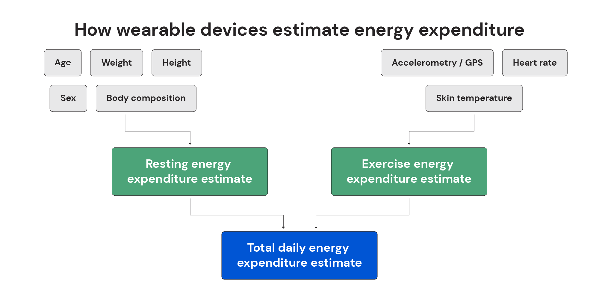 How wearable devices estimate energy expenditure