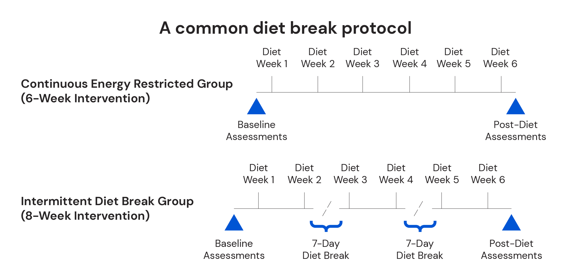 A common diet break protocol
