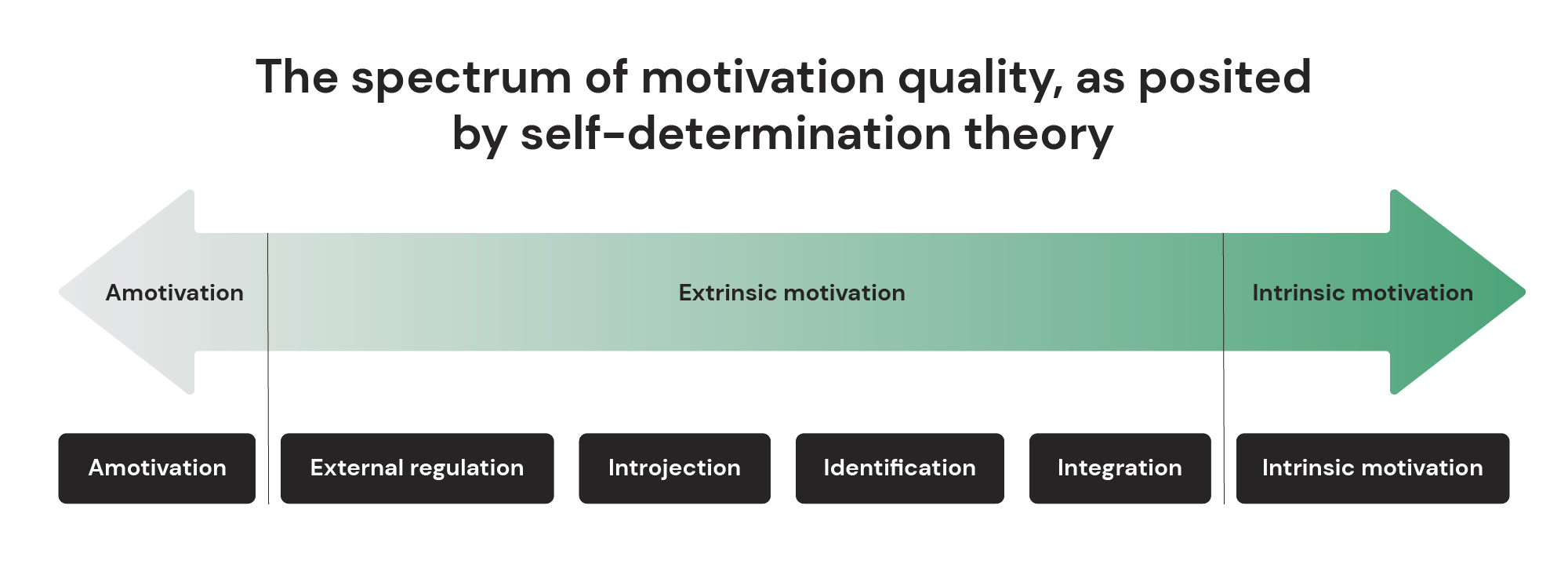 The spectrum of motivation quality, as posited by self-determination theory