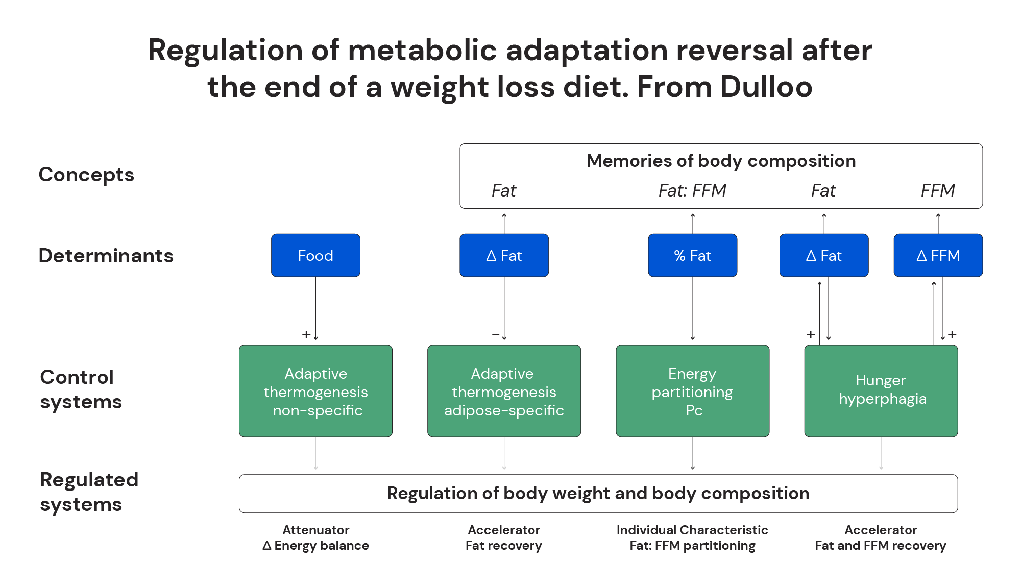 Regulation of metabolic adaptation reversal after the end of a weight loss diet