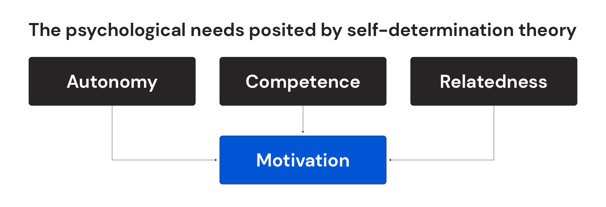 The psychological needs posited by self-determination theory