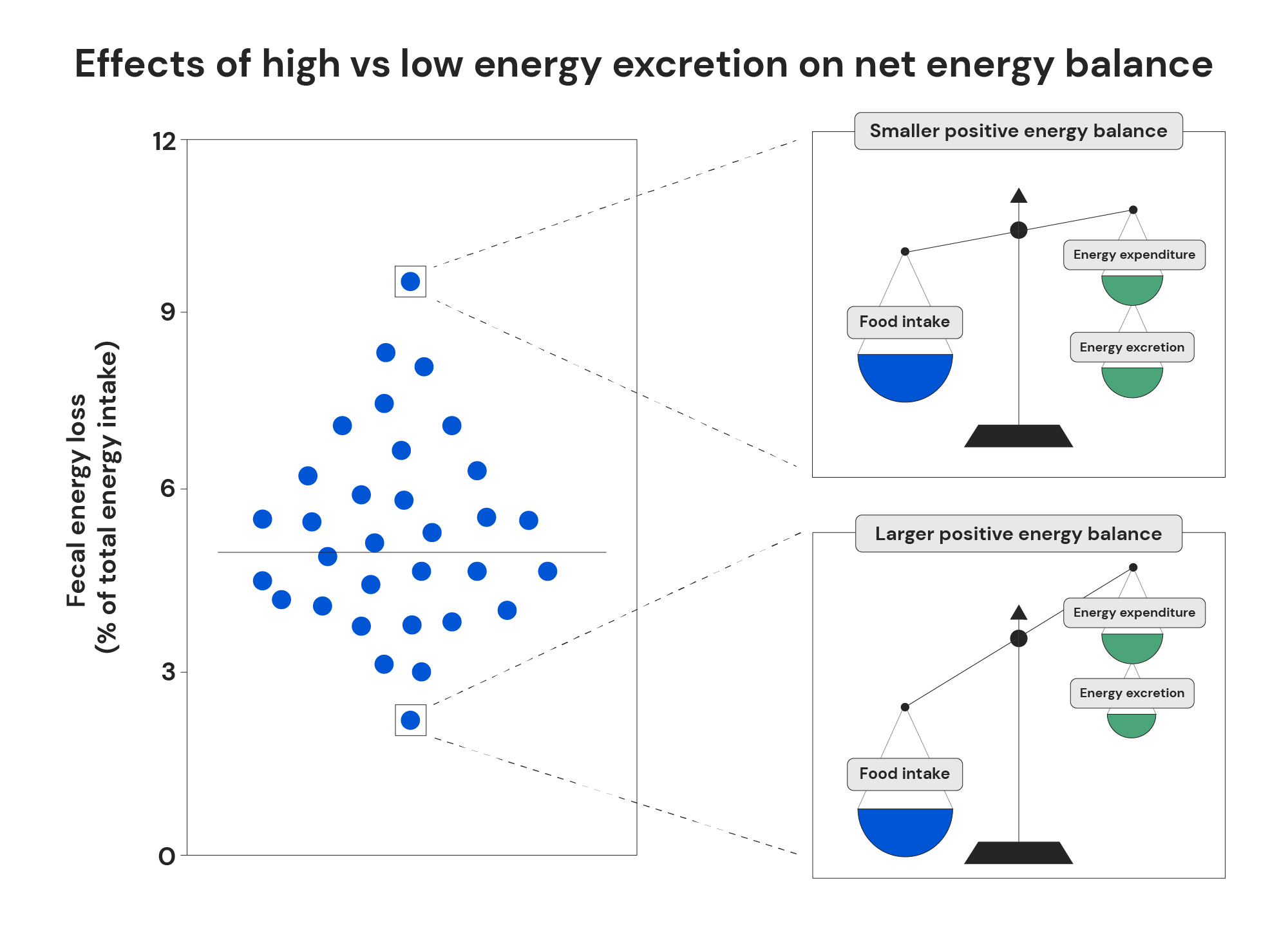 effects of high vs low energy excretion of net energy balance