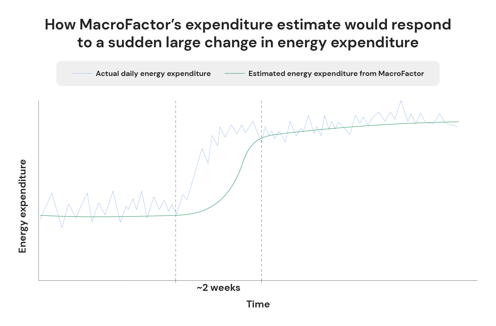 How MacroFactor's expenditure estimate would respond to a sudden large change in energy expenditure