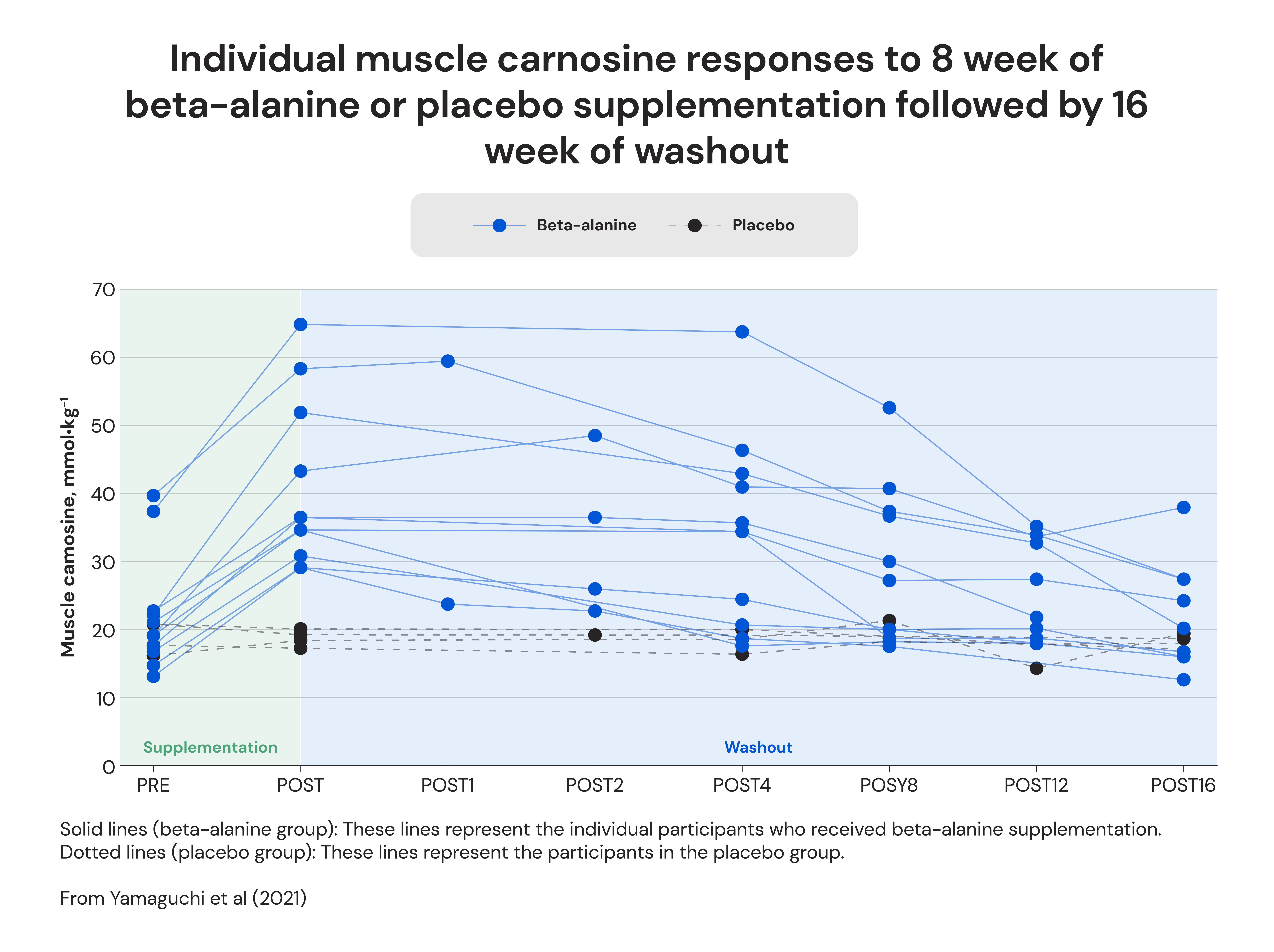 Individual muscle carnosine responses to 8 week of beta-alanine of placebo supplementation followed by 16 week of washout